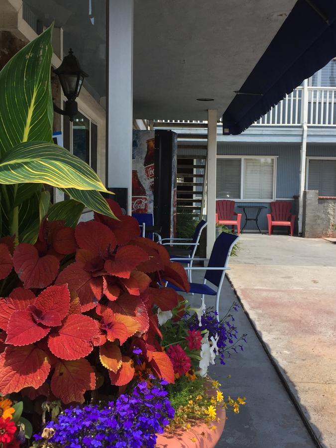 The Shores Inn Ventura Εξωτερικό φωτογραφία